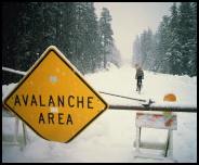 Dedicated winter rider!