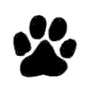 paw